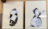 Puppies