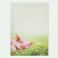 Image 2 of Friend, not Food | Notizblock