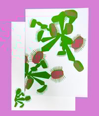 Venus Fly Traps Greeting Card (Blank Inside) 