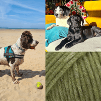 Deposit for commmission - Ellie (dog jumper)