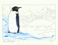 Penguin and Ottoline