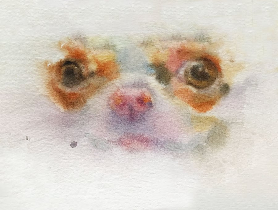 Image of “ Sketch of Demi Moore's Pilaf.littlemouse “