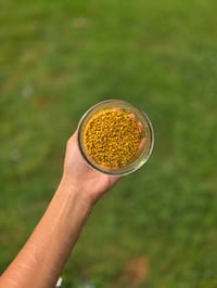Image 2 of Bee Pollen Glycerite