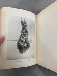 Image 2 of La Photographie au Laboratoire de Médecine Légale - Dr. Alphonse Bedin