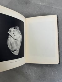 Image 5 of La Photographie au Laboratoire de Médecine Légale - Dr. Alphonse Bedin