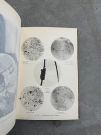 Image 9 of La Photographie au Laboratoire de Médecine Légale - Dr. Alphonse Bedin