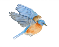 Image 1 of Blue Bird and Friend Giclée Art Print 10"x8", 7"x5"