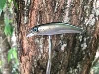 Image 1 of SPEEDBAITS Custom Airbrushed Jerkbait TS