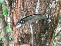 Image 2 of SPEEDBAITS Custom Airbrushed Jerkbait TS