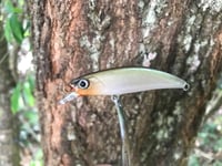 Image 1 of SPEEDBAITS Custom Airbrushed Jerkbait TS1