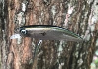 Image 2 of SPEEDBAITS Custom Airbrushed Jerkbait TS2