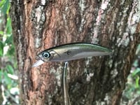 Image 1 of SPEEDBAITS Custom Airbrushed Jerkbait TS2