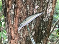 Image 3 of SPEEDBAITS Custom Airbrushed Jerkbait TS2