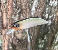 Image 2 of SPEEDBAITS Custom Airbrushed Jerkbait TS1