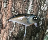 Image 1 of SPEEDBAITS Custom Airbrushed FLATSIDE WAKEBAIT SUPERTUNED BFS TS