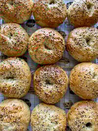 Everything Bagel (Half-Dozen)