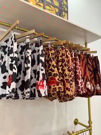 Image 3 of Exotic Born Fresh 