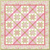 Image 16 of QUITE CONTRARY 21pc Sampler Box by My Mind's Eye for Riley Blake Designs