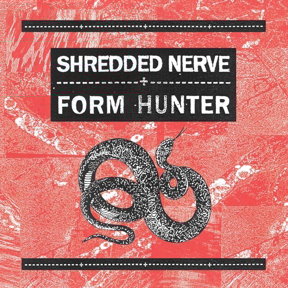 Image of Shredded Nerve / Form Hunter CD