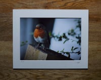 Image 2 of Alert - a4 Print.