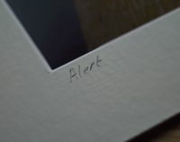 Image 3 of Alert - a4 Print.
