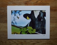 Image 2 of Inquiry - a4 Print.