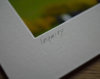 Image 3 of Inquiry - a4 Print.