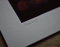 Image 3 of Ruminate - a4 Print.