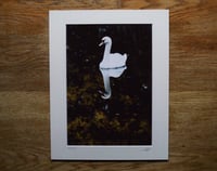 Image 2 of Reflect - a4 Print.