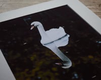 Image 4 of Reflect - a4 Print.