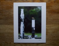 Image 2 of Robin's Rest - a4 Print.