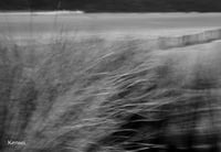 Image 1 of Eole