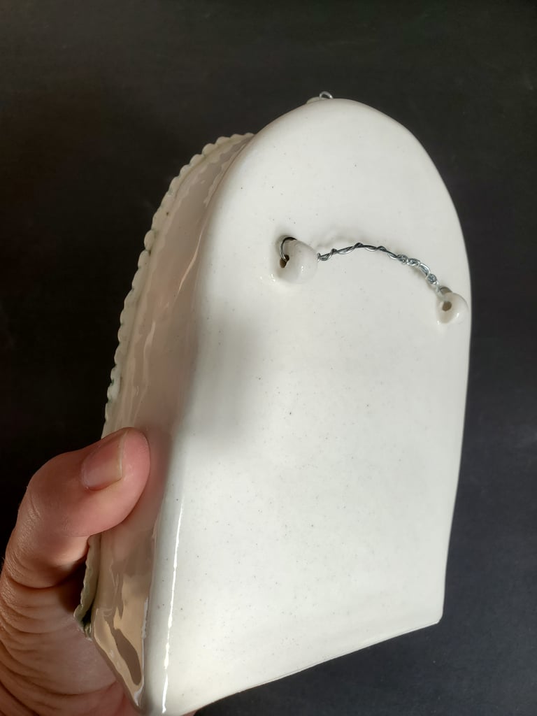 Merfish Image 4