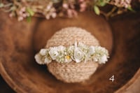 Image 5 of Spring/summer halos