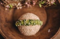 Image 18 of Spring/summer halos