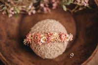 Image 1 of Spring/summer halos