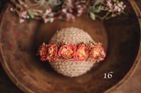 Image 15 of Spring/summer halos