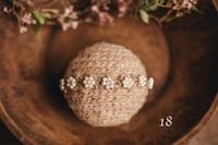 Image 17 of Spring/summer halos