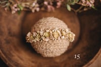 Image 14 of Spring/summer halos
