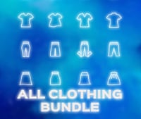 ALL CLOTHING BUNDLE