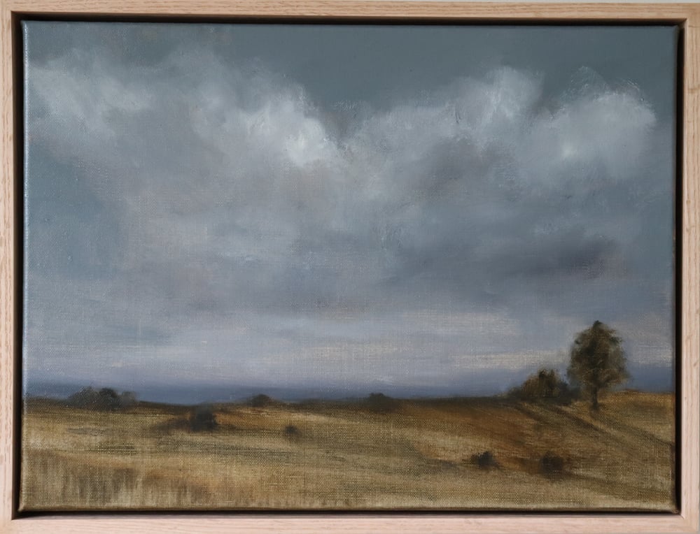 Image of Paysage estival serein