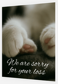 Image 1 of Cat Paws (cards & envelopes) min order 50 cards