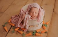 Image 4 of Carrot 