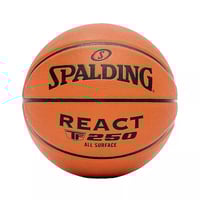 SPALDING TF-250 Basketball