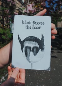 Image 2 of The Haar Lyric Boox