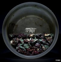 Hummingbird of Death / Cold World - Split 12"