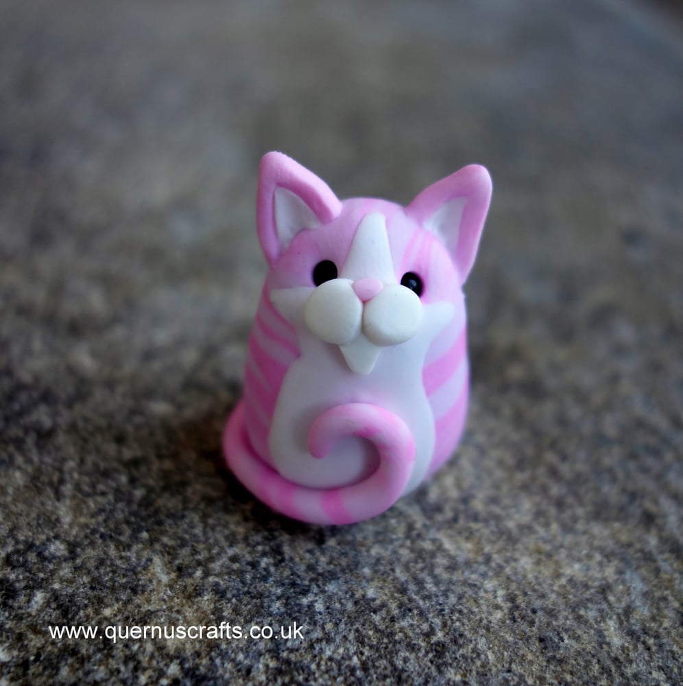 Wee Rainbow Tabby Cat (Pink) #1