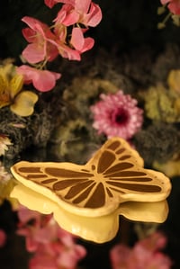 Image 3 of Whimsy