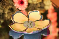 Image 5 of Bloom