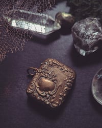 Image 1 of Victorian match safe